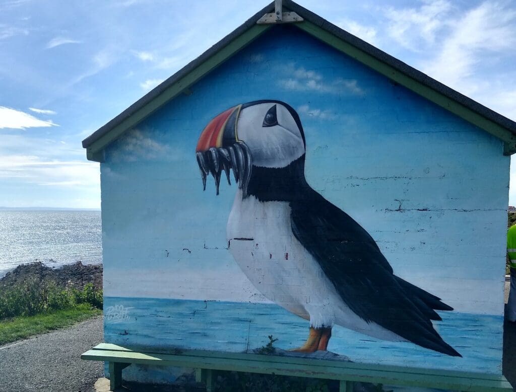 West Braes Tidal Pool Mural